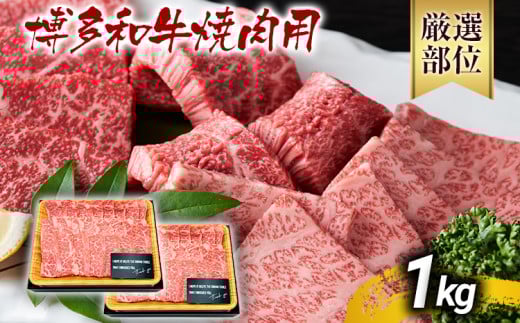 博多和牛焼肉用 1kg 黒毛和牛 お取り寄せグルメ お取り寄せ お土産 九州 福岡土産 取り寄せ グルメ MEAT PLUS CP020 1kg（500g×2）