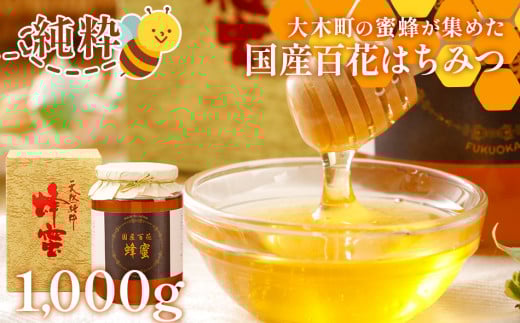 国産蜂蜜ギフト 1,000g　黒ラベル　CD12