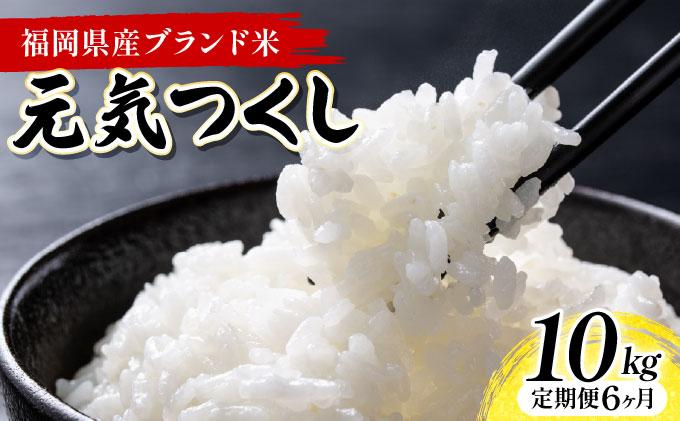 [6ヶ月定期便]福岡県産米 元気つくし 10kg 令和7年産 ※北海道・沖縄・離島は配送不可[精米 7年産 国産 福岡県産 お米 ブランド米 10kg げんきつくし]CY012sub6