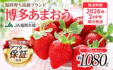 【アフター保証】博多あまおう 福岡県JAグループのブランド あまおういちご 1080g（約270g×4パック）JA福岡大城【2026年2月中旬から順次発送】AG010