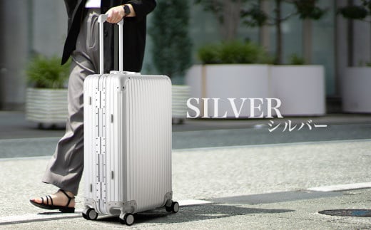 ※上記写真【シルバーカーボン】の色味の返礼品が届きます