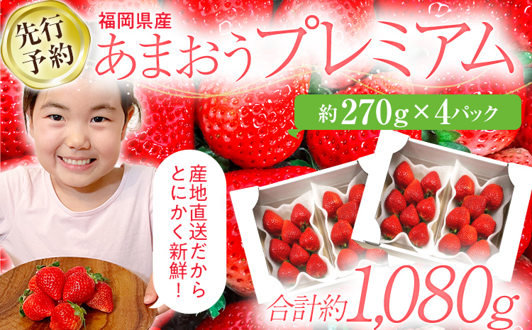 [先行予約/2025年]福岡県産あまおう 約270g×4パック[2025年2月以降順次発送]いちご イチゴ 苺 果物 おすすめ 福岡県 大木町
