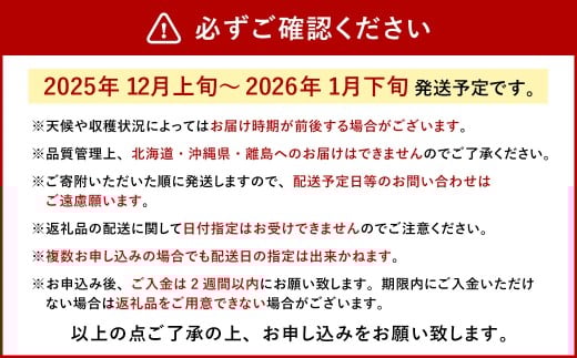 今季初採れ あまおう 2パック 約500～540g 【数量限定】 【2025年12月上旬～2026年1月下旬発送予定】 苺 いちご 果物 果実 フルーツ 国産 九州 福岡県 香春町 冷蔵