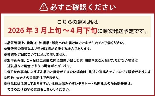春のあまおう （2L・2A・G規格以上 6パック） 合計約1.5～1.62kg 【数量限定】 【2026年3月上旬～4月下旬発送予定】 あまおう 苺 いちご 果物 果実 フルーツ 国産 九州 福岡県 香春町 冷蔵