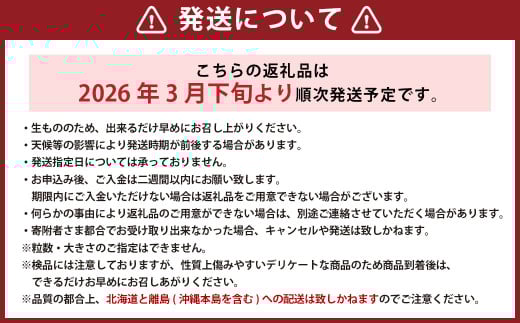 【訳あり】完熟あまおう 4パック 合計約1.1kg 【2026年3月下旬出荷予定】いちご 苺 イチゴ 果物 フルーツ