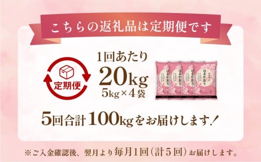 【1ヶ月毎5回定期便】はるかおり20kg