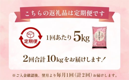 【1ヶ月毎2回定期便】はるかおり5kg
