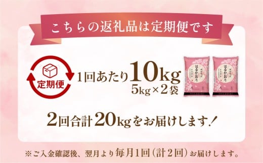 【1ヶ月毎2回定期便】はるかおり10kg