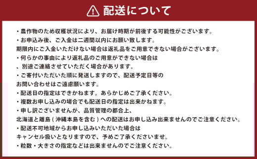 【香春町限定】 福岡県産 あまおう 冷凍 約2kg (500g×4袋) 特別栽培 【 数量限定 】