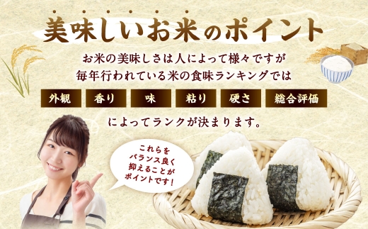 夢つくし 香春町産 わぎえ米 20kg