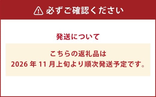 福岡県ブランド キウイフルーツ 「博多甘うぃ」 化粧箱 大玉9玉 約1.4kg