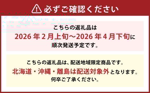 博多あまおう（春） 約250g～270g×2パック 計約500g～540g【2026年2月上旬-4月下旬発送予定】 いちご 苺 イチゴ 果物 フルーツ