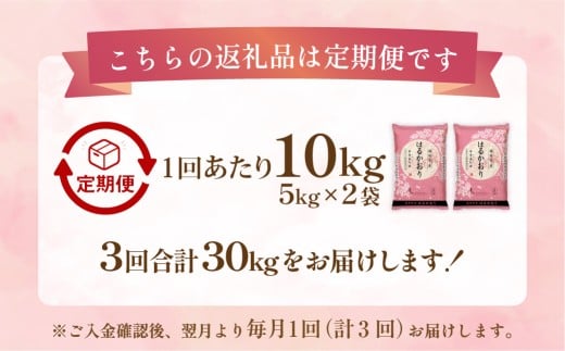 【1ヶ月毎3回定期便】はるかおり10kg