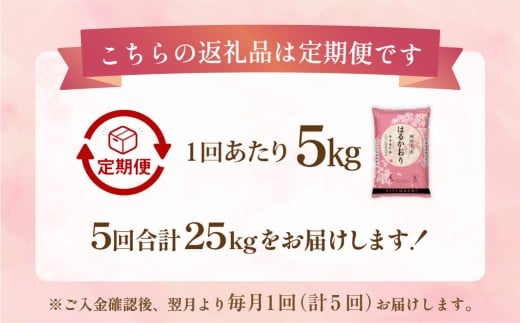 【1ヶ月毎5回定期便】はるかおり5kg