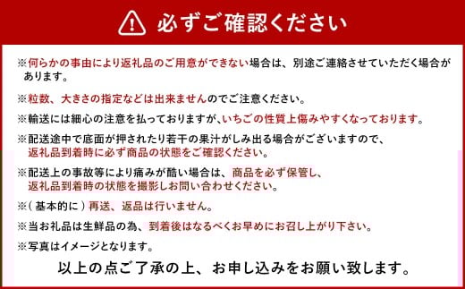 今季初採れ あまおう 2パック 約500～540g 【数量限定】 【2025年12月上旬～2026年1月下旬発送予定】 苺 いちご 果物 果実 フルーツ 国産 九州 福岡県 香春町 冷蔵