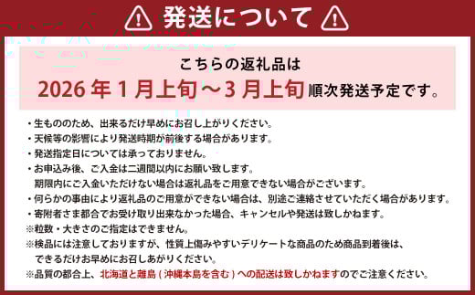 完熟あまおう 贈答用 4パック 合計約1kg～1.64kg 【2026年1月上旬～3月上旬までに出荷予定】いちご 苺 イチゴ ベリー 果物 フルーツ お取り寄せ デザート おやつ