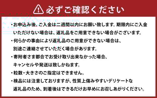 【訳あり】完熟あまおう 4パック 合計約1.1kg 【2026年3月下旬出荷予定】いちご 苺 イチゴ 果物 フルーツ