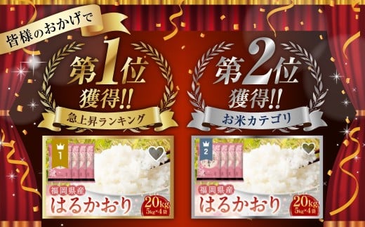 【令和7年産】はるかおり 精米 10kg