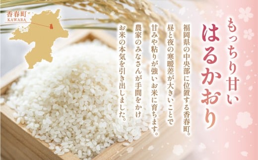 【1ヶ月毎4回定期便】はるかおり5kg