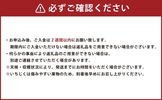 福岡県ブランド いちじく 「博多とよみつひめ」 約300g×4パック （計約1.2kg）