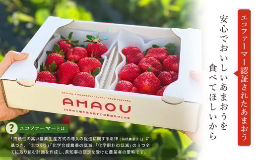 【2026年3月発送】エコファーマー あまおう 約280g×2パック 計560g / いちご 苺 イチゴ ベリー 果物 フルーツ お取り寄せ デザート おやつ