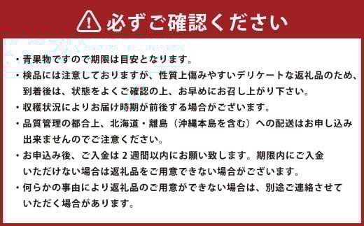 【3回定期便（2・3・4月発送）】博多あまおう 250g～270g × 2パック 【2026年2月上旬-4月下旬発送予定】 あまおう 果物 フルーツ 果実 苺 いちご イチゴ ストロベリー 完熟 新鮮