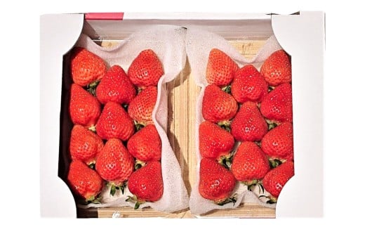春のあまおう （2L・2A・G規格以上 6パック） 合計約1.5～1.62kg 【数量限定】 【2026年3月上旬～4月下旬発送予定】 あまおう 苺 いちご 果物 果実 フルーツ 国産 九州 福岡県 香春町 冷蔵