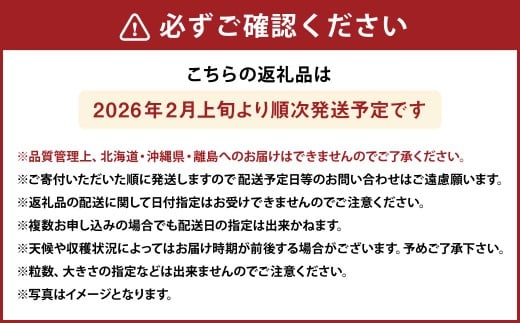 大粒あまおう 2パック 合計500～540g 【2026年2月上旬～4月上旬発送予定】 あまおう 苺 いちご 果物 果実 フルーツ 大粒 国産 九州 福岡県 香春町 冷蔵