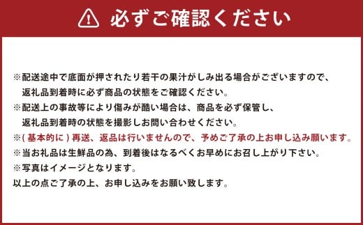 【予約受付 ・ 3回定期便】 あまおう 満喫セット （フレッシュあまおう ・ あまおうジェラート ・ 冷凍あまおう） 【2026年3月上旬～8月発送予定】 苺 いちご 果物 果実 フルーツ ジェラート セット 国産 九州 福岡県 香春町 冷蔵 冷凍