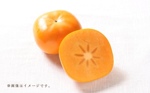 福岡ブランド！ 森部の秋王 セミドライフルーツ 5個セット