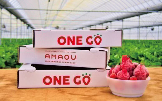 【香春町限定】 福岡県産 あまおう 冷凍 約2kg (500g×4袋) 特別栽培 【 数量限定 】