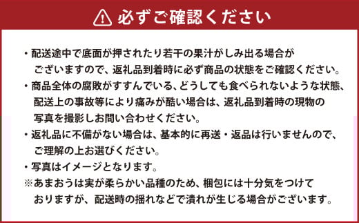 ギフト配送 約450g×2パック 計900g EX 福岡県産 あまおう 特別栽培【2026年1月上旬から3月下旬発送予定】 いちご 苺 イチゴ ベリー 果物 フルーツ お取り寄せ デザート おやつ