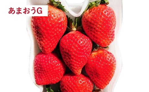 【予約受付 ・ 3回定期便】 あまおう 満喫セット （フレッシュあまおう ・ あまおうジェラート ・ 冷凍あまおう） 【2026年3月上旬～8月発送予定】 苺 いちご 果物 果実 フルーツ ジェラート セット 国産 九州 福岡県 香春町 冷蔵 冷凍