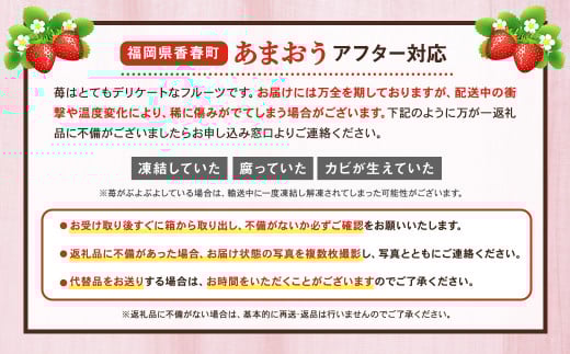 ギフト配送 約450g×2パック 計900g EX 福岡県産 あまおう 特別栽培【2026年1月上旬から3月下旬発送予定】 いちご 苺 イチゴ ベリー 果物 フルーツ お取り寄せ デザート おやつ