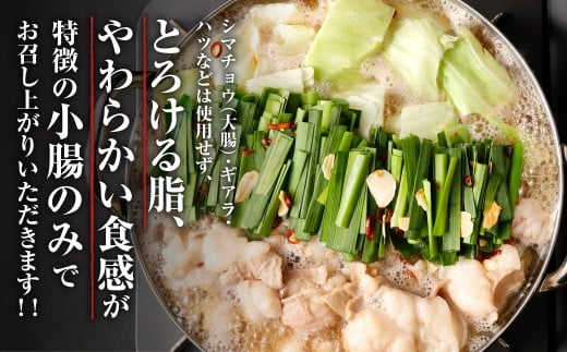 特選 もつ鍋 セット 3人前 醤油スープ モツ もつ 小腸 醤油 ちゃんぽん麺