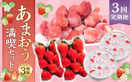 【予約受付 ・ 3回定期便】 あまおう 満喫セット （フレッシュあまおう ・ あまおうジェラート ・ 冷凍あまおう） 【2026年3月上旬～8月発送予定】 苺 いちご 果物 果実 フルーツ ジェラート セット 国産 九州 福岡県 香春町 冷蔵 冷凍