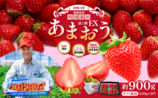 ギフト配送 約450g×2パック 計900g EX 福岡県産 あまおう 特別栽培【2026年1月上旬から3月下旬発送予定】 いちご 苺 イチゴ ベリー 果物 フルーツ お取り寄せ デザート おやつ