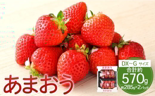 あまおう 約570g 約285g×2パック いちごファームきらら 冷蔵【ふくおかエコ農産物認証】【2026年2月上旬-3月下旬発送予定】