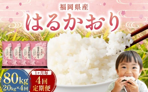 【1ヶ月毎4回定期便】はるかおり20kg