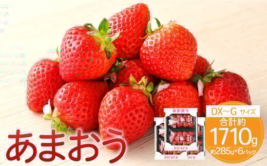 あまおう 約1710g 約285g×6パック いちごファームきらら 冷蔵【ふくおかエコ農産物認証】【2026年2月上旬-3月下旬発送予定】
