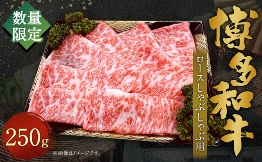 【数量限定博多和牛】 ロース しゃぶしゃぶ 約250g 博多和牛 和牛 国産牛 黒毛和牛 黒毛和種 牛肉 ロース肉 リブロース サーロイン お肉 肉 九州 福岡県 香春町 冷凍