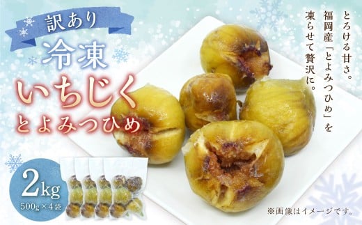 訳あり 冷凍 いちじく 「とよみつひめ」 2kg