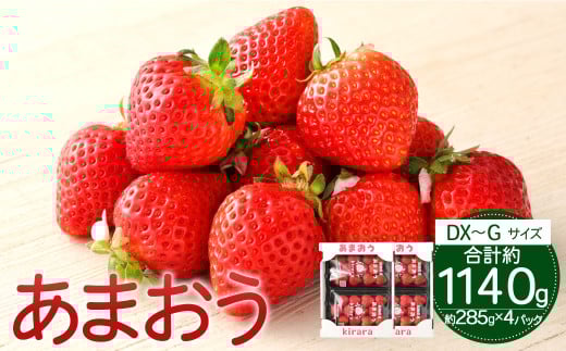 あまおう 約1140g 約285g×4パック いちごファームきらら 冷蔵【ふくおかエコ農産物認証】【2026年2月上旬-3月下旬発送予定】