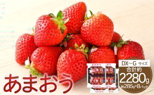あまおう 約2280g 約285g×8パック いちごファームきらら 冷蔵【ふくおかエコ農産物認証】【2026年2月上旬-3月下旬発送予定】