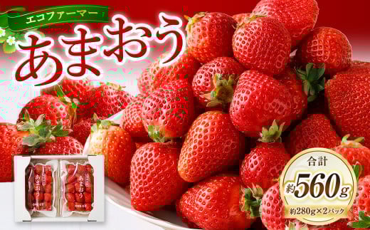 【2026年3月発送】エコファーマー あまおう 約280g×2パック 計560g / いちご 苺 イチゴ ベリー 果物 フルーツ お取り寄せ デザート おやつ