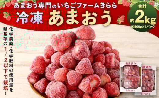 「いちごファームきらら」の 冷凍 あまおう 2kg