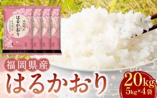 【令和7年産】はるかおり 精米 20kg