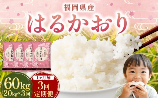 【1ヶ月毎3回定期便】はるかおり20kg