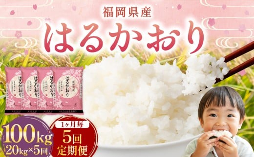 【1ヶ月毎5回定期便】はるかおり20kg