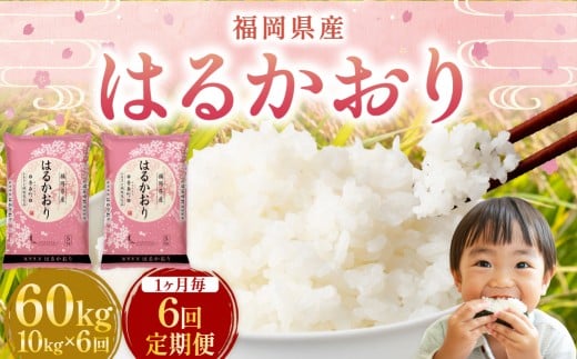 【1ヶ月毎6回定期便】はるかおり10kg